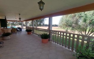 Sant Jordi, Palma, 5 Schlafzimmer Schlafzimmer, ,3 BadezimmerBadezimmer,Finca / Villa,Zu verkaufen,1001