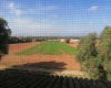 Sant Jordi, Palma, 5 Schlafzimmer Schlafzimmer, ,3 BadezimmerBadezimmer,Finca / Villa,Zu verkaufen,1001