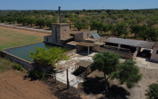 Sant Jordi, Palma, 5 Schlafzimmer Schlafzimmer, ,3 BadezimmerBadezimmer,Finca / Villa,Zu verkaufen,1001