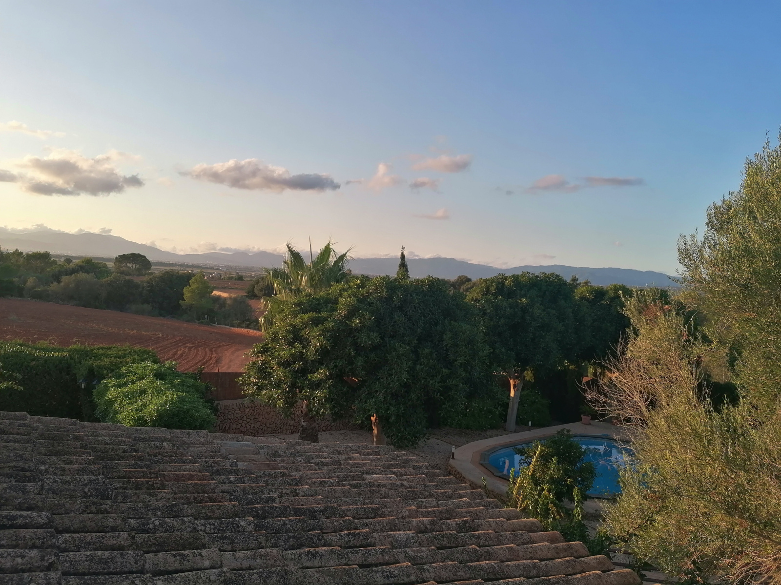 S'Aranjassa, Palma, 5 Schlafzimmer Schlafzimmer, ,5 BadezimmerBadezimmer,Finca / Villa,Zu verkaufen,1002