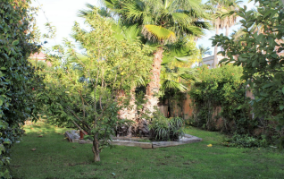 9 Carrer de Santa Victoria, Sa Torre, Llucmajor, 4 Schlafzimmer Schlafzimmer, ,5 BadezimmerBadezimmer,Finca / Villa,Zu verkaufen,Carrer de Santa Victoria,1056